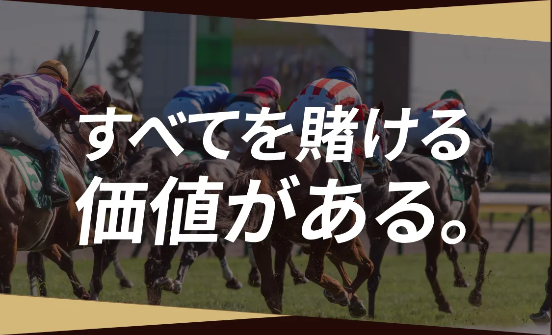 すべてを賭ける価値がある。